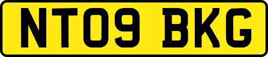 NT09BKG