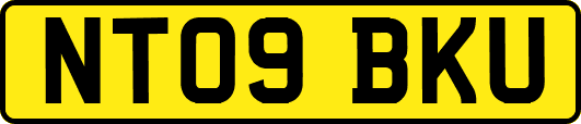NT09BKU