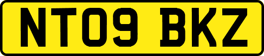 NT09BKZ