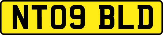 NT09BLD
