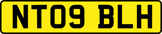 NT09BLH