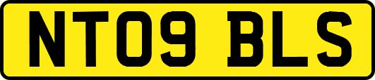 NT09BLS