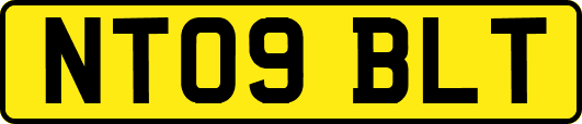 NT09BLT