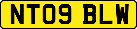 NT09BLW