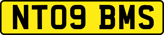 NT09BMS