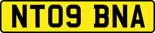 NT09BNA