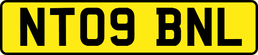 NT09BNL