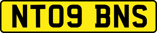 NT09BNS
