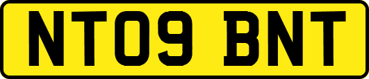 NT09BNT
