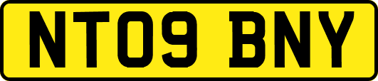 NT09BNY