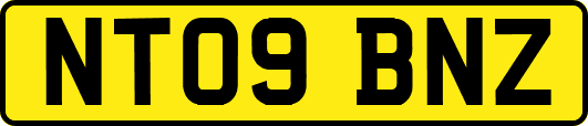 NT09BNZ