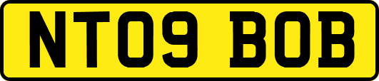 NT09BOB