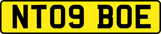 NT09BOE
