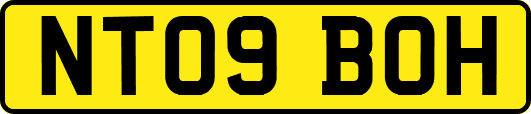 NT09BOH