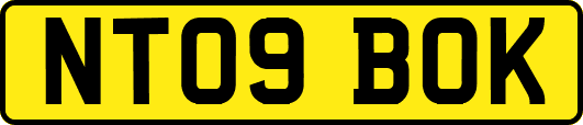 NT09BOK