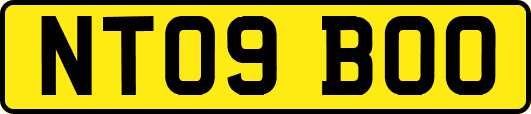 NT09BOO