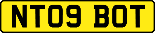 NT09BOT