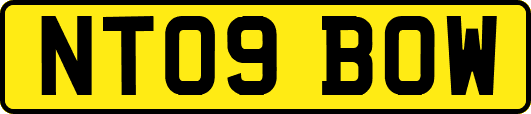 NT09BOW
