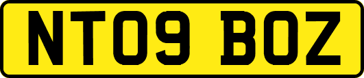 NT09BOZ