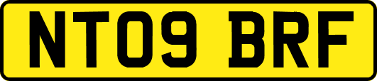 NT09BRF