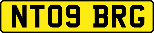 NT09BRG