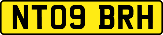 NT09BRH