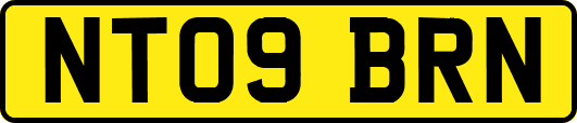 NT09BRN