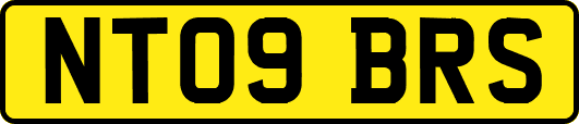 NT09BRS