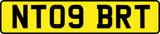 NT09BRT