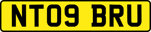 NT09BRU