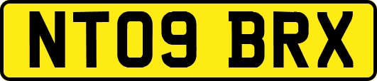 NT09BRX