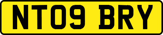 NT09BRY