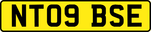 NT09BSE
