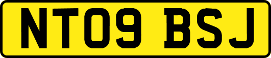 NT09BSJ