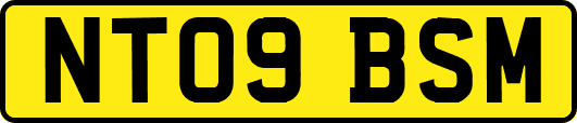 NT09BSM