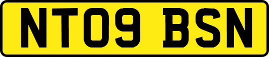 NT09BSN