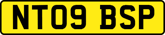 NT09BSP