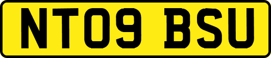 NT09BSU