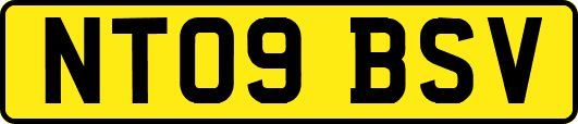 NT09BSV
