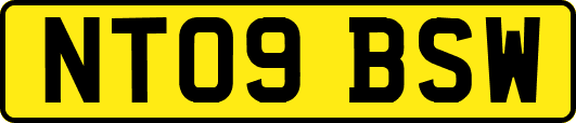 NT09BSW