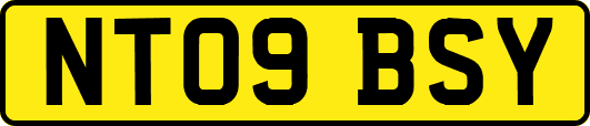 NT09BSY