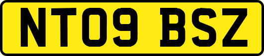 NT09BSZ