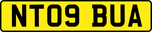 NT09BUA