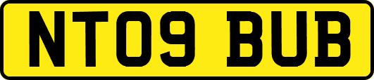 NT09BUB