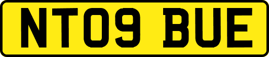 NT09BUE