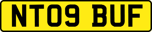 NT09BUF