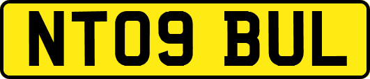NT09BUL