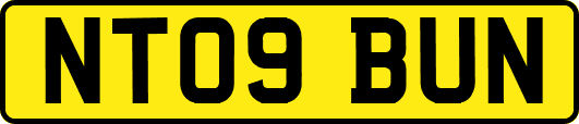NT09BUN