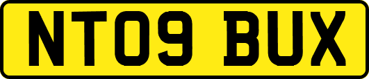 NT09BUX