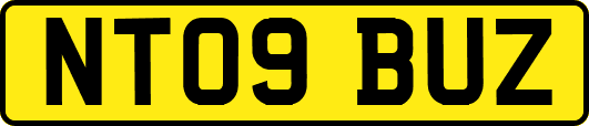 NT09BUZ